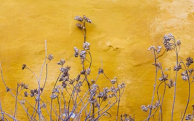 Burnout Coaching Hilfe – Warum ein Rückfall teurer ist als unser Programm