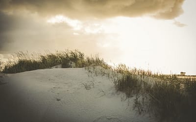 Burnout verstehen: Die 12 Phasen und wie du rechtzeitig gegensteuerst